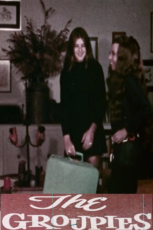 Movie poster for The Groupies (1971)
