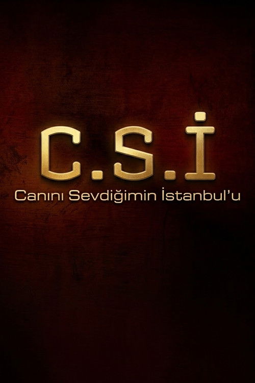 Canını Sevdiğimin İstanbul'u poster