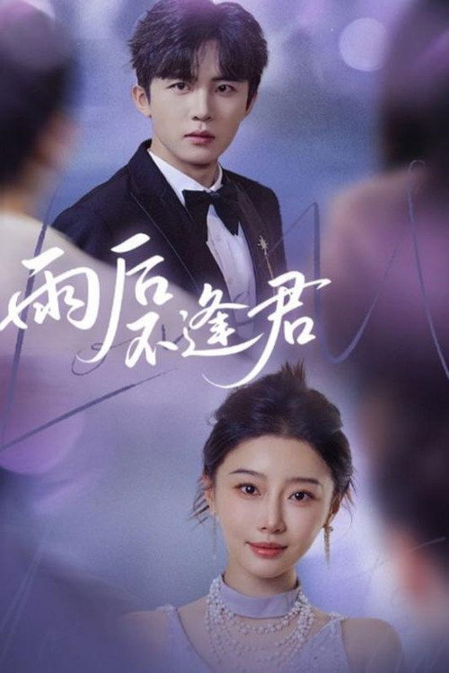 雨后不逢君 poster