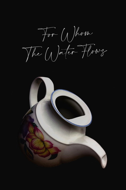 Movie poster for For Whom The Water Flows (2023)