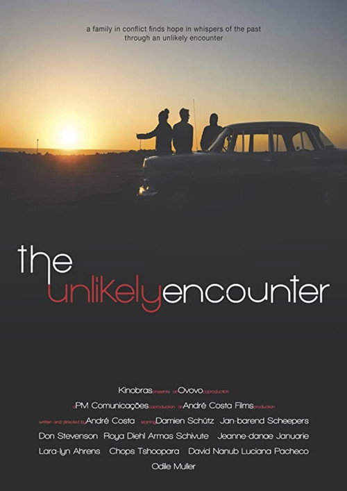 Movie poster for The Unlikely Encounter (2020)