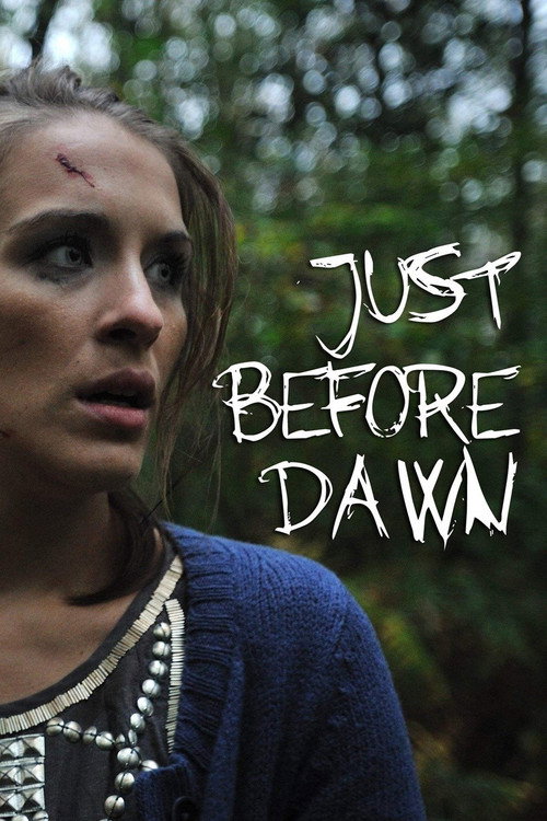 Movie poster for Just Before Dawn (2010)