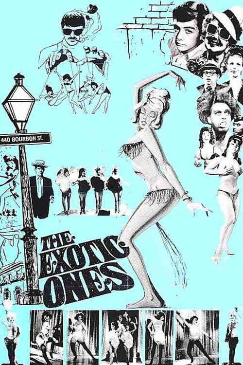 Movie poster for The Exotic Ones (1968)