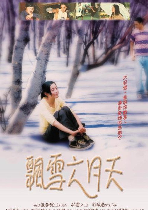 Movie poster for Snow Falling From the Sky of June (2004)