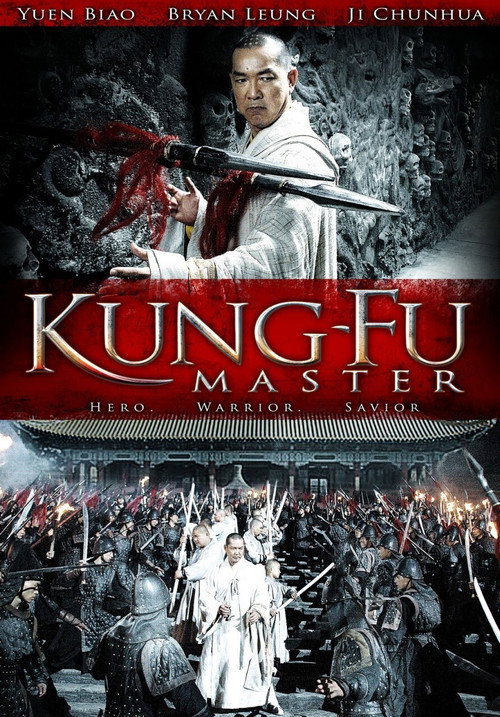 Movie poster for Kung-Fu Master (2010)