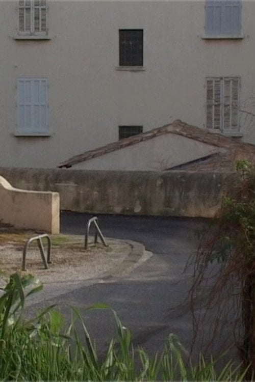 Movie poster for Série noire (2009)