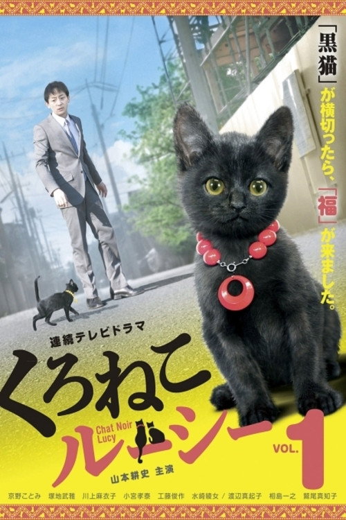 くろねこルーシー poster
