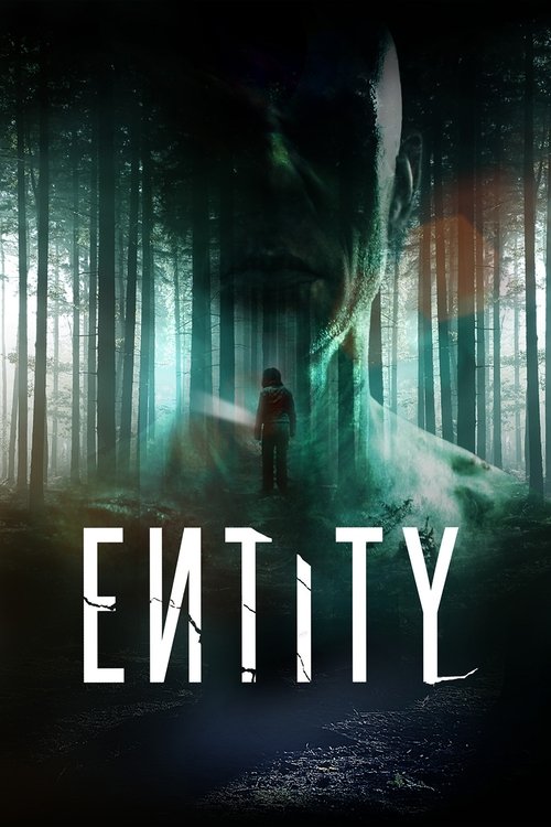 Movie poster for Entity (2012)