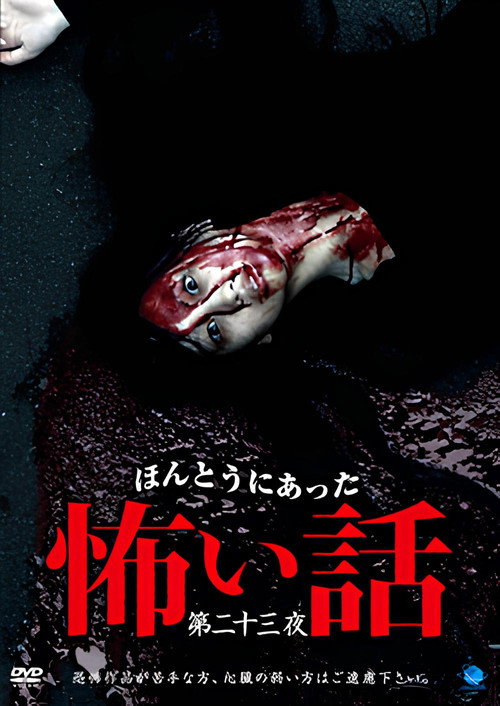 Movie poster for Scary True Stories: Night 23 (2012)