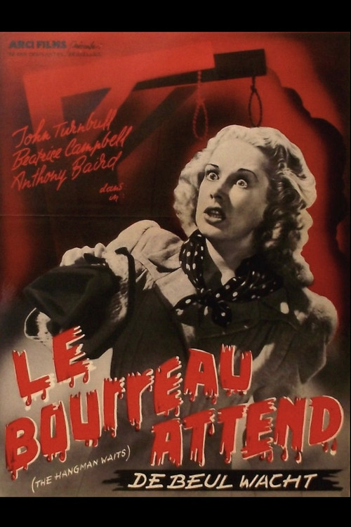 Movie poster for The Hangman Waits (1947)