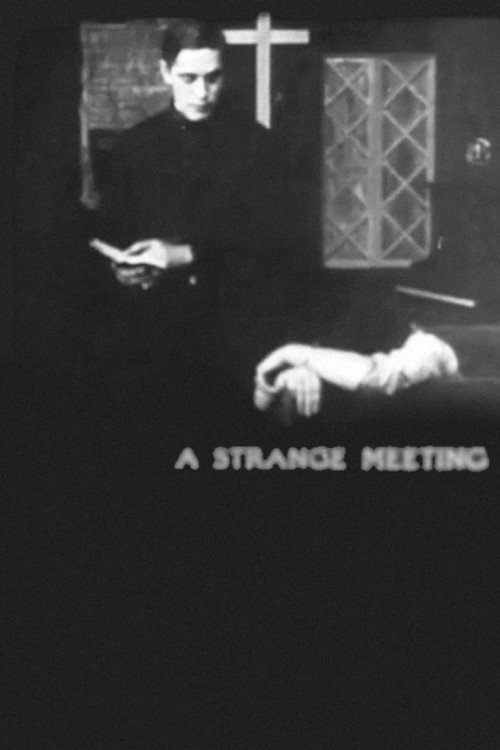 Movie poster for A Strange Meeting (1909)
