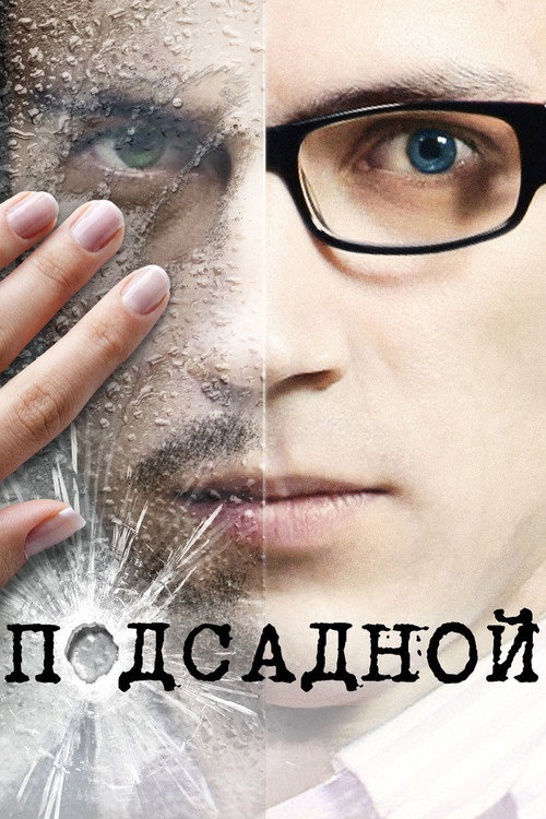 Movie poster for Decoy (2010)
