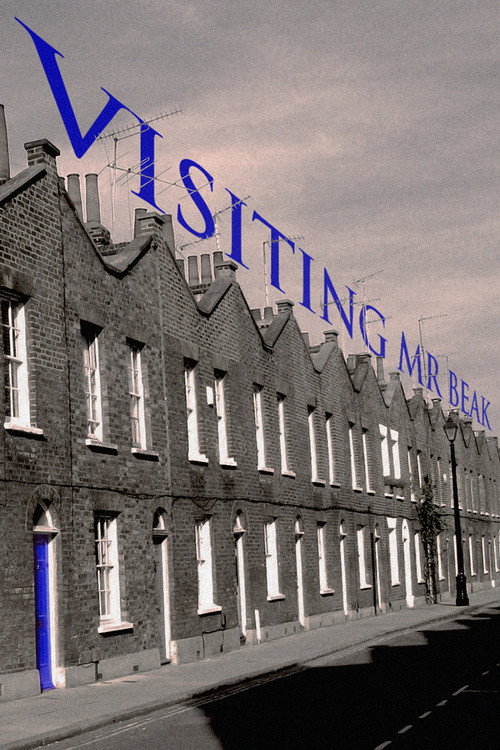 Movie poster for Visiting Mr Beak (1987)