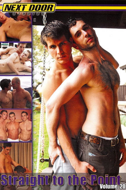 Movie poster for Straight to the Point Volume 20 (2010)
