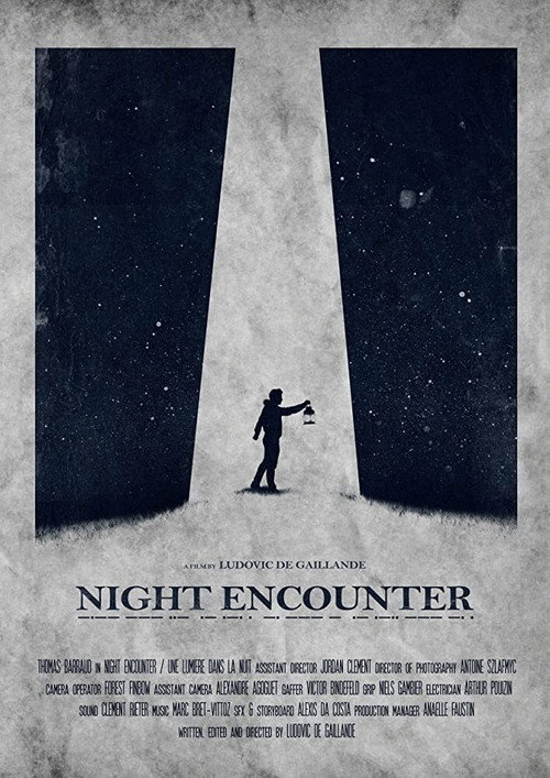 Movie poster for Night Encounter (2017)