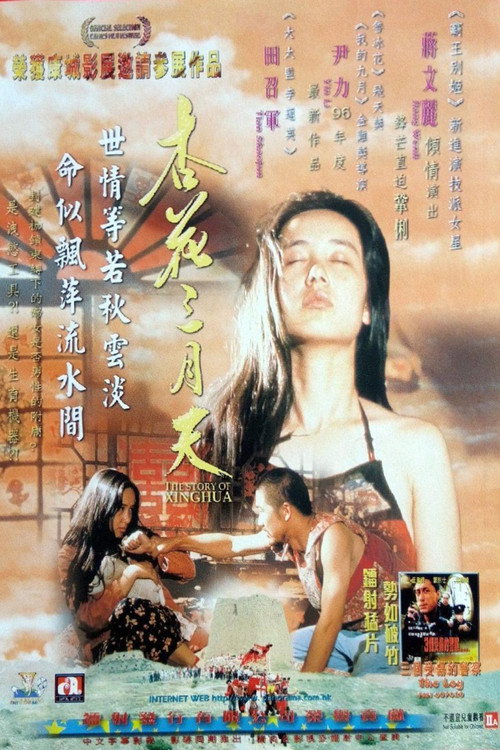 Movie poster for The Story of Xinghua (1994)