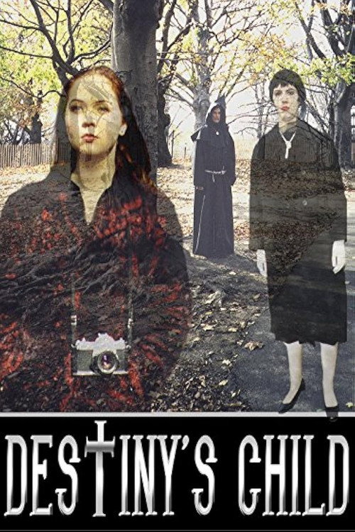 Movie poster for Destiny's Child (2003)