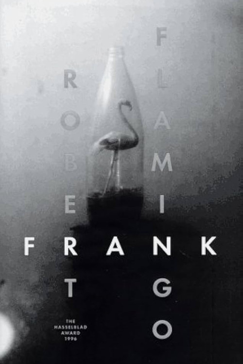 Movie poster for Flamingo (1996)