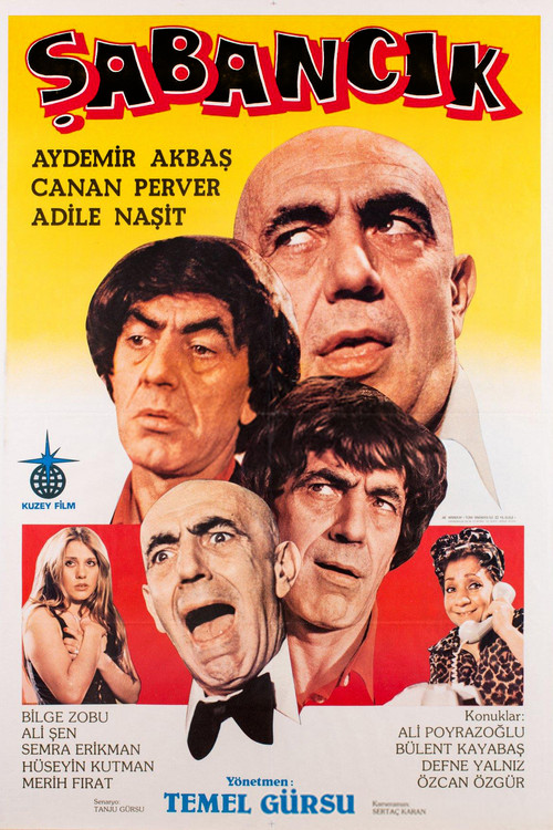 Movie poster for Şabancık (1982)
