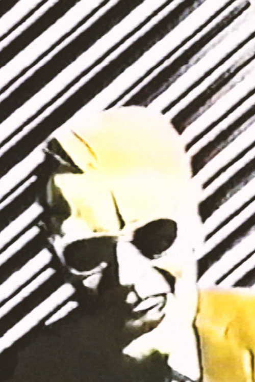 Movie poster for The Max Headroom Pirate Incidents (2025)