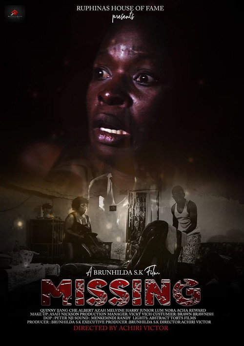 Movie poster for Missing (2019)