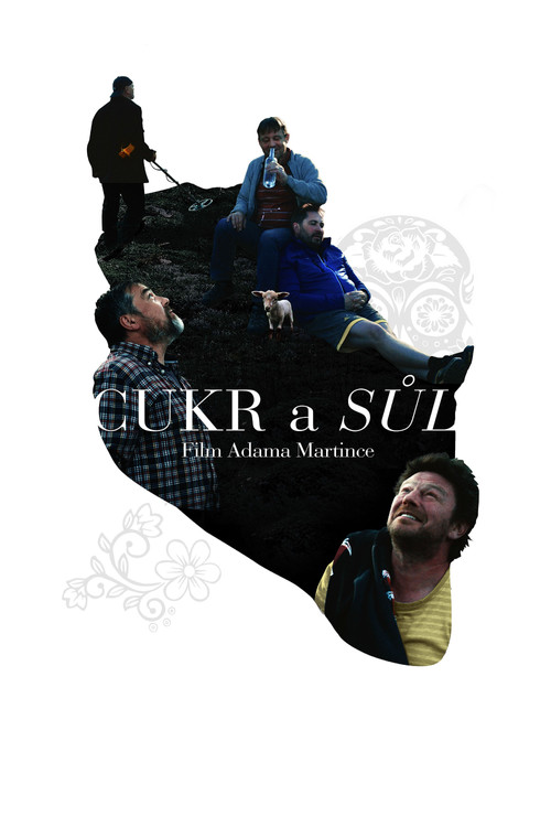 Movie poster for Sugar and Salt (2019)