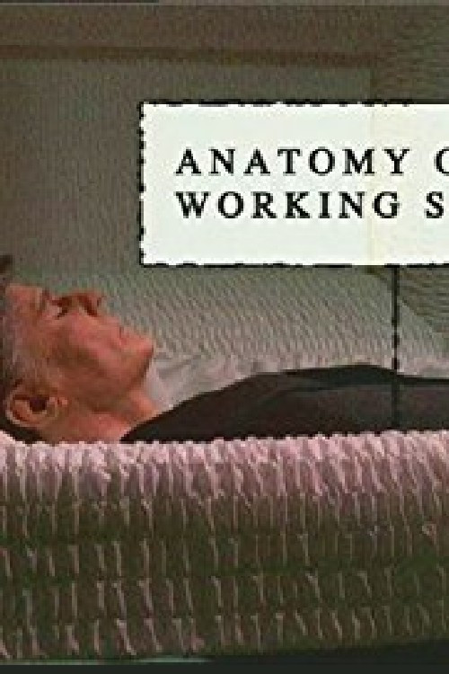 Movie poster for Anatomy of a Working Stiff (2004)