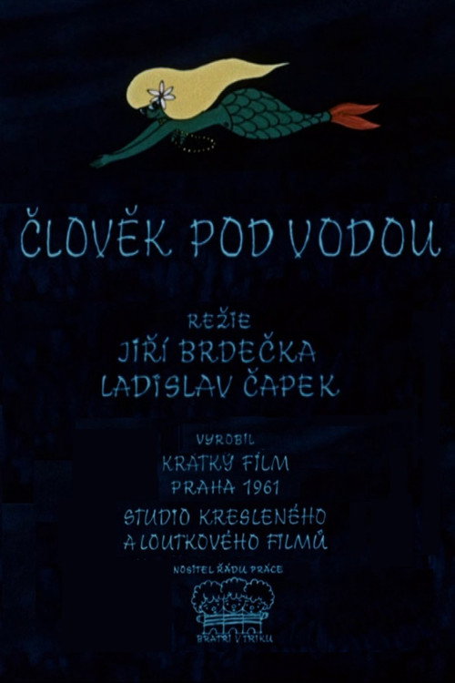Movie poster for Man Under Water (1961)