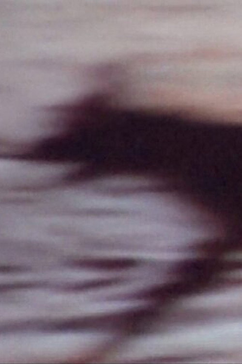 Movie poster for Rituales de registro (2023)