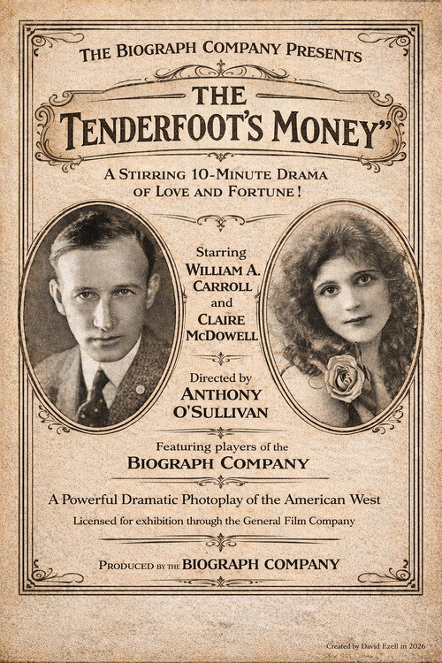 Movie poster for The Tenderfoot's Money (1913)