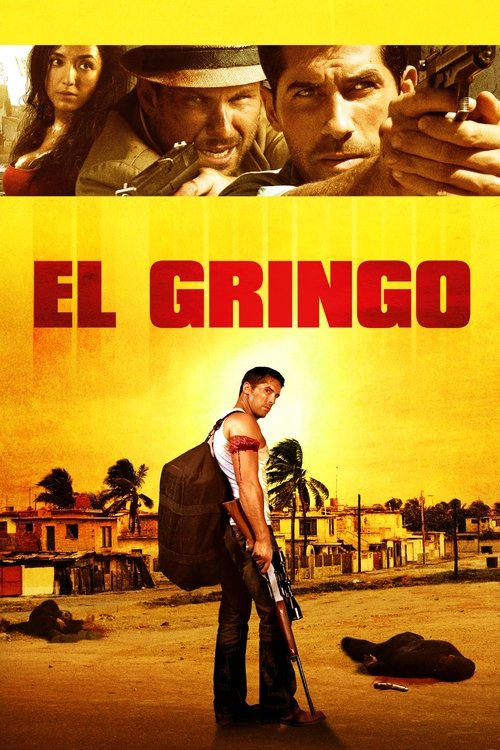 Movie poster for El Gringo (2012)