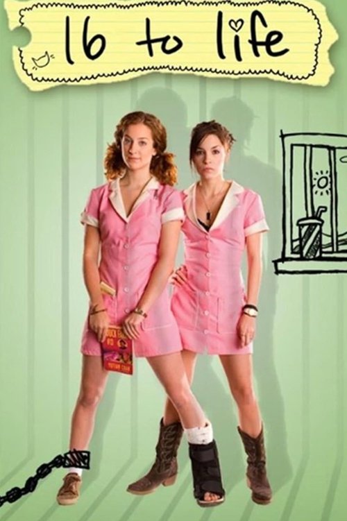 Movie poster for 16 to Life (2009)