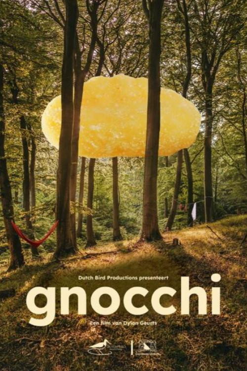 Movie poster for Gnocchi
