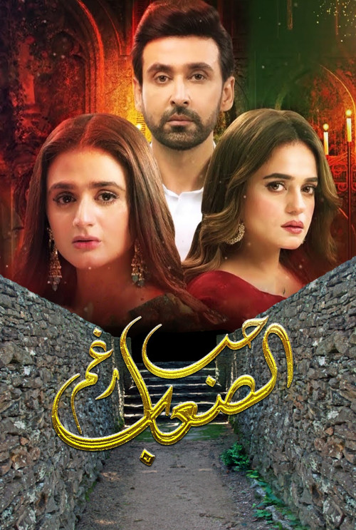 mein hari piya poster