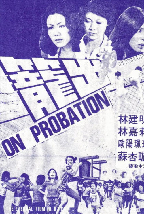 Movie poster for On Probation (1977)