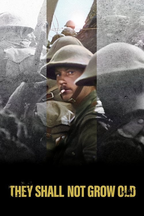 Movie poster for They Shall Not Grow Old (2018)