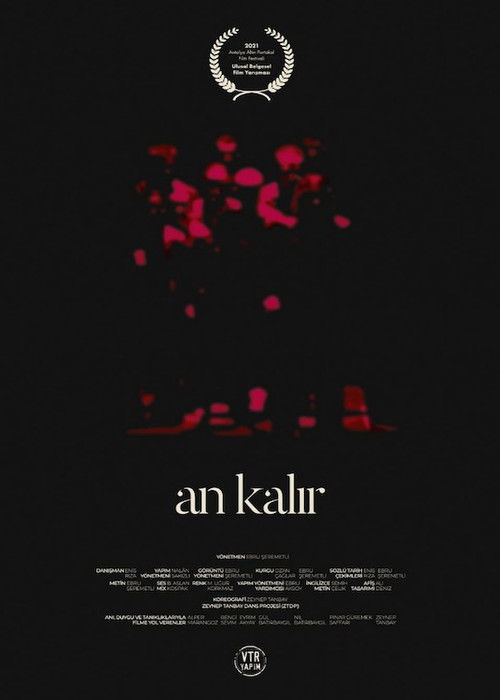 An Kalır poster