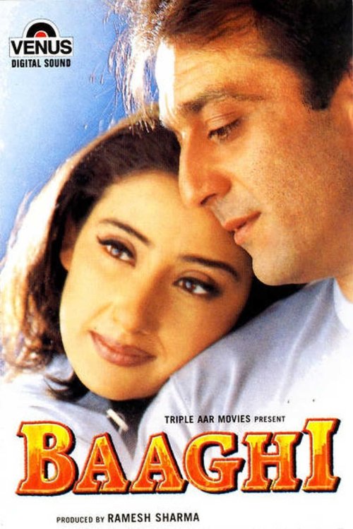 Movie poster for Baaghi (2000)