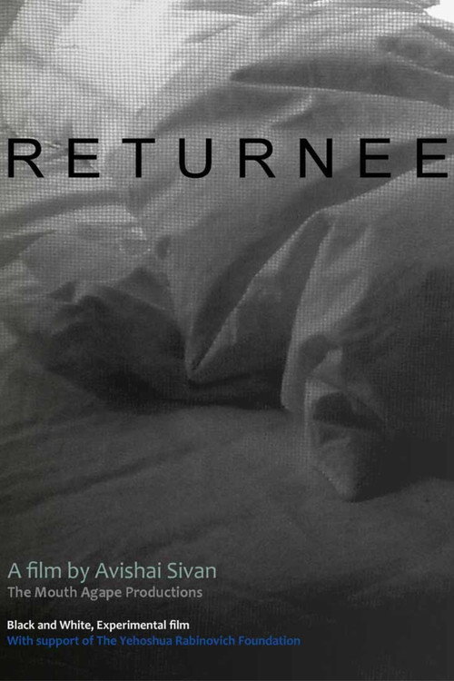 Movie poster for Returnee (2010)
