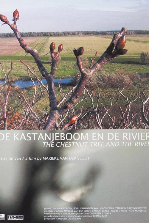 Movie poster for De kastanjeboom en de rivier (2009)