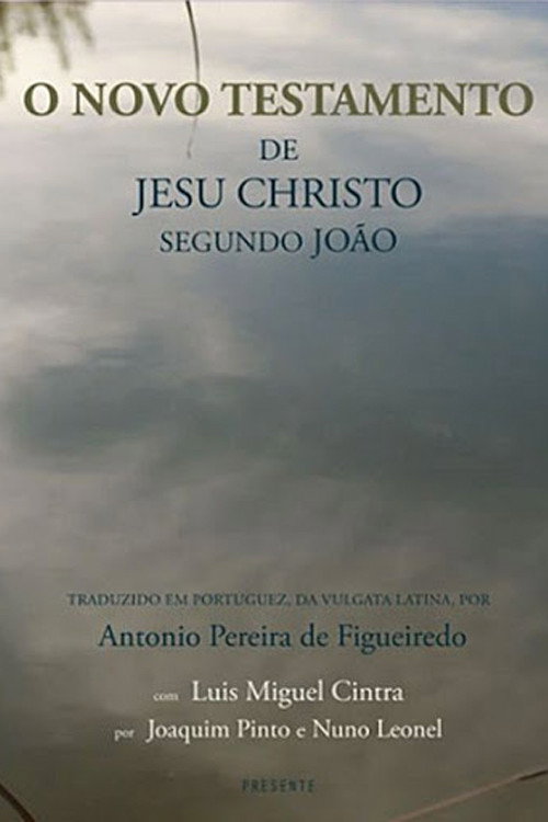Movie poster for The New Testament of Jesus Christ According to John (2013)
