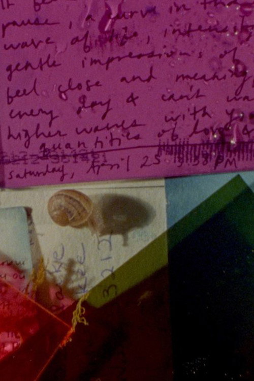 Movie poster for Other Tidal Effects (2021)