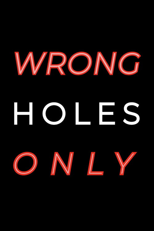 Movie poster for Wrong Holes Only (2024)