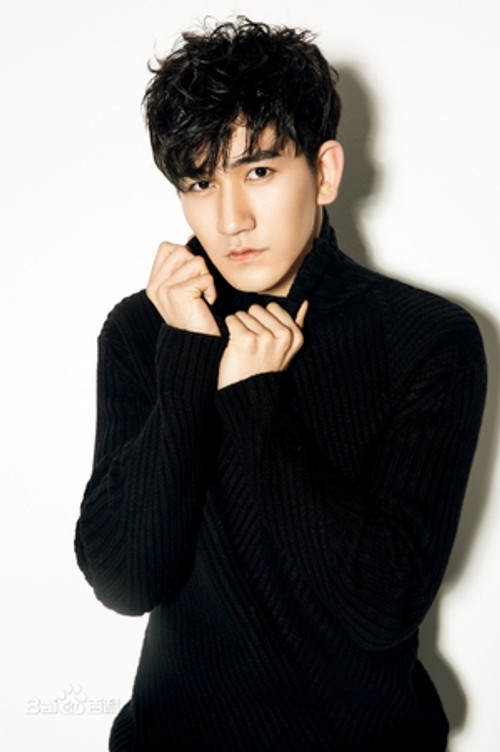 Photo of Gao Ming, Acting