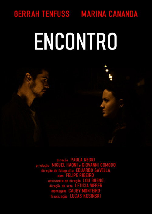 Movie poster for Encounter (2016)