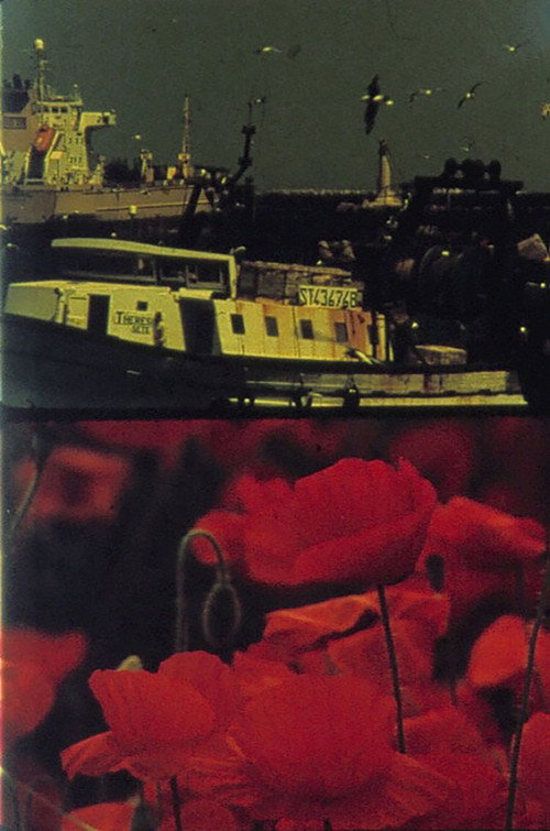 Movie poster for Poppies and Sailboats (2001)