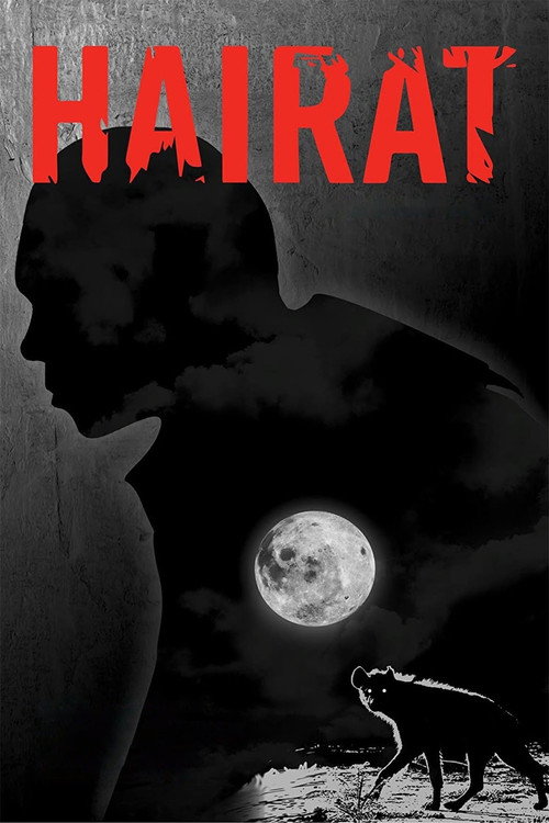 Movie poster for Hairat (2017)