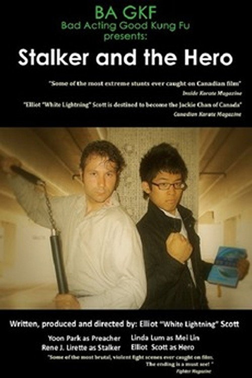 Movie poster for Stalker and the Hero (2011)
