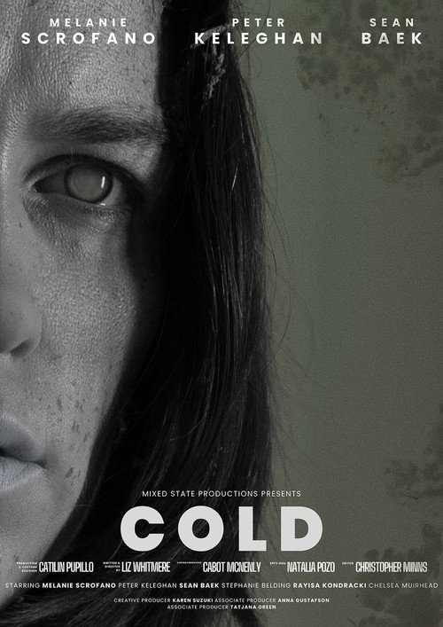 Movie poster for COLD (2023)