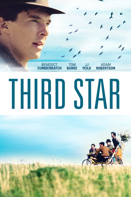 Movie poster for Third Star (2010)